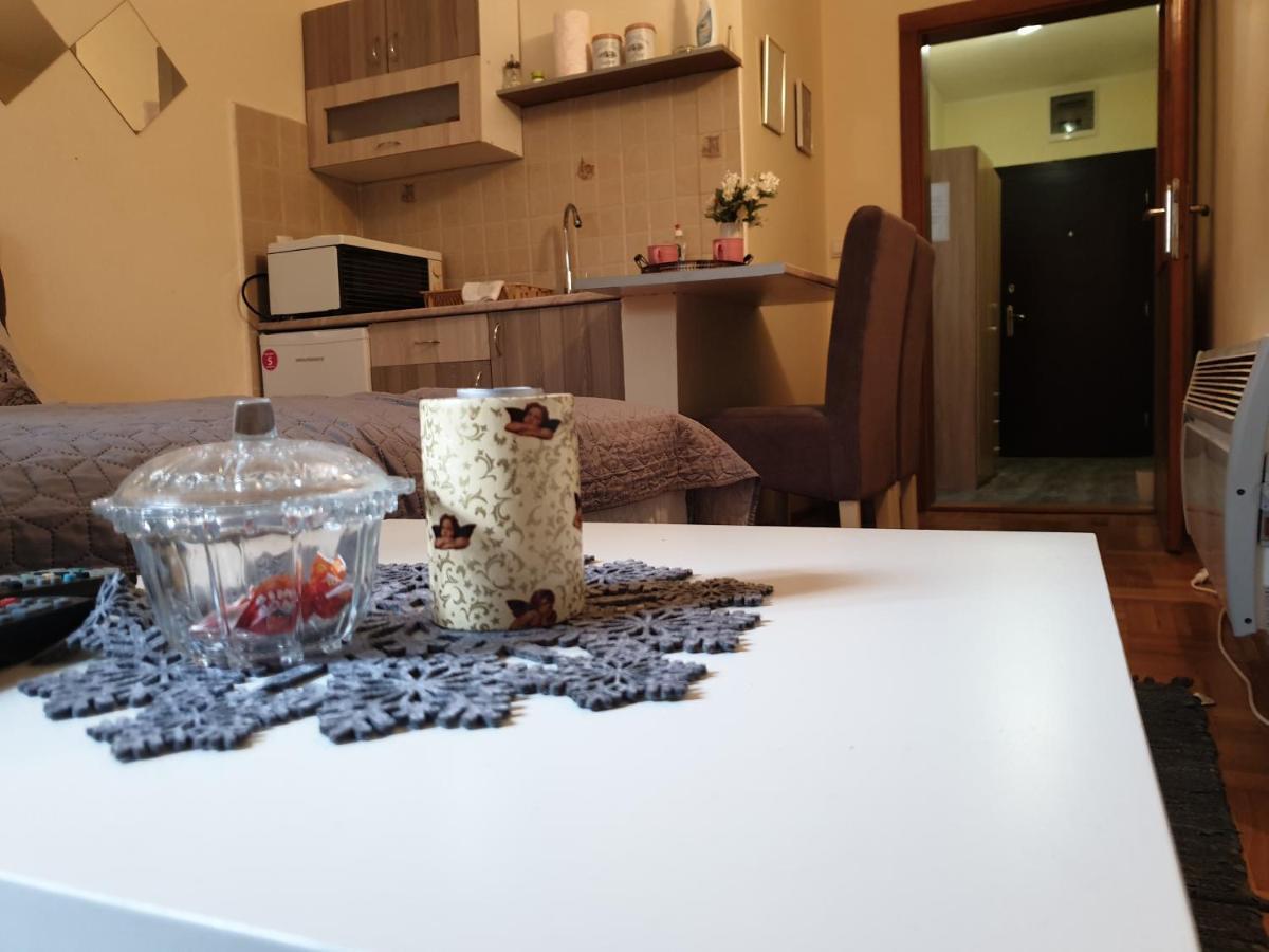 Studio Dunja Vrnjačka Banja 외부 사진