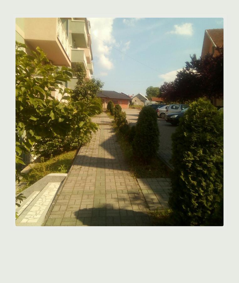Studio Dunja Vrnjačka Banja 외부 사진